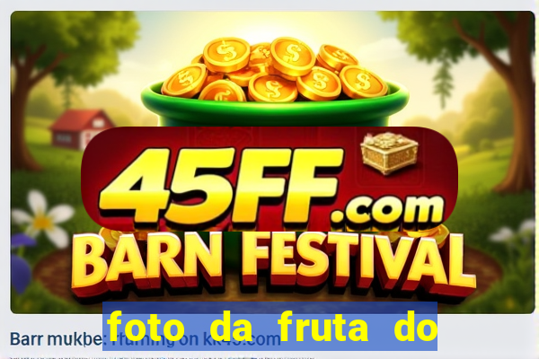 foto da fruta do blox fruits